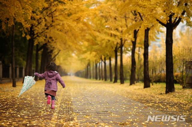 도심 속 가을정취 느끼는 '서울 단풍길 90선'