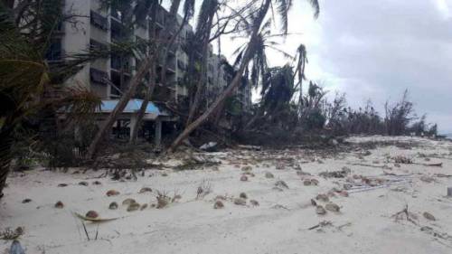 제26호 태풍 ''위투''가 강타한 사이판 해변에 강풍으로 코코넛 열매들이 떨어져있다. 연합뉴스