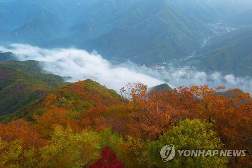 무주 적상산 울긋 불긋 단풍 [연합뉴스 자료사진]