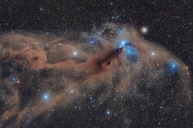 별과 성운 부문 수상작 `Corona Australis Dust Complex'.  남쪽왕관자리의 별들과 성간 먼지 사진이다.