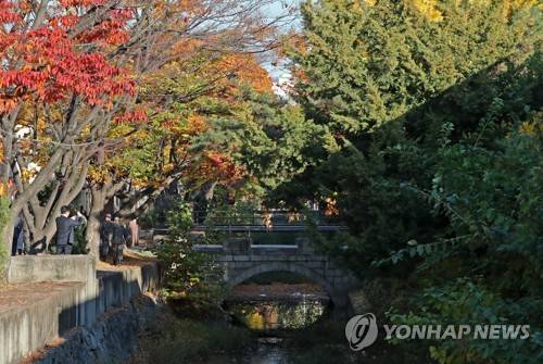 가을 단풍 속 아름다운 '만초천' (서울=연합뉴스) 김인철 기자 = 2일 오후 서울 용산미군기지 버스투어에서 공개된 서울에서 유일하게 복개되지 않은 하천인 '만초천'이 보이고 있다. yatoya@yna.co.kr (끝)