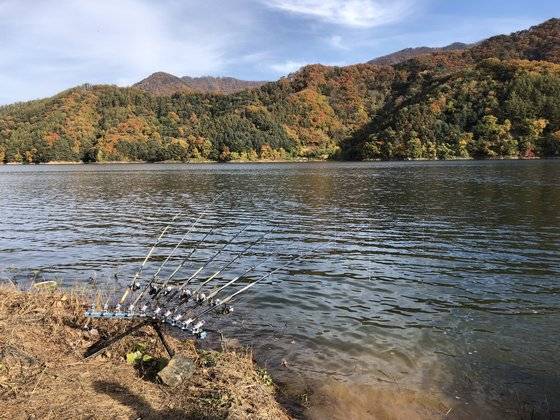 강원도 화천군 파라호에 낚싯대가 줄줄이 설치돼 있다. 천권필 기자