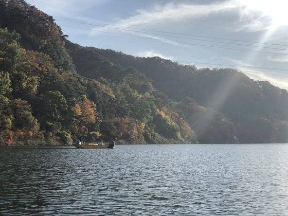 파로호에서 한 어민이 그물을 걷어 올리고 있다. 천권필 기자