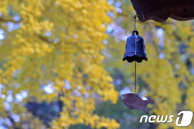 10일 오전 경북 경주시 강동면 운곡서원 처마 밑에 달려있는 풍경이 가을 끝자락을 노래하고 있다.2018.11.10/뉴스1© News1최창호 기자