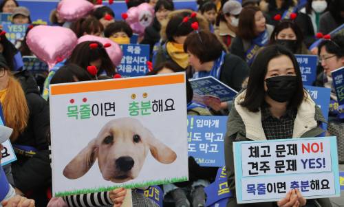 반려견 입마개 의무화 반대 시위. 연합뉴스
