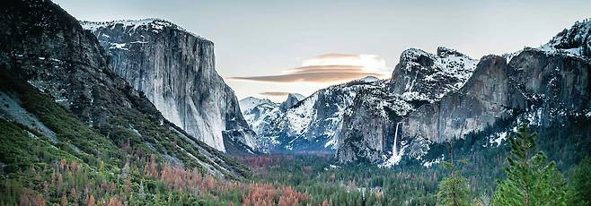 하나의 세계를 지켜내는 수호자처럼 늠름하게 솟은 요세미티의 바위들. 그 곁은 온통 아득한 숲이다.