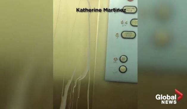 [사진 방송화면 캡처]