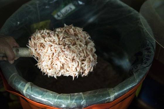 소금은 발암물질에 넣지 않고 소금이 많이 들어간 젓갈은 1군 발암물질로 등재됐다. 젓갈에 들어간 소금은 발암물질이고 소금 자체는 발암물질이 아니라는 것인가. 이해되지 않는 분류다.