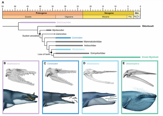 -조지메이슨대 제공