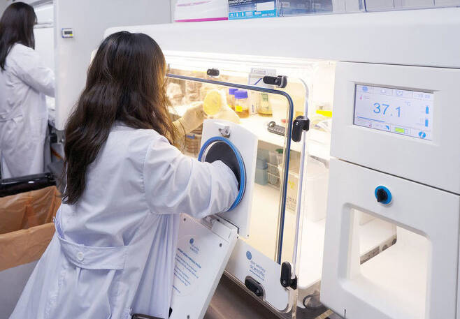한 연구원이 산소 없는 혐기성 배양기에서 장내 미생물을 배양하는 작업을 하고 있다. 천종식 교수 제공