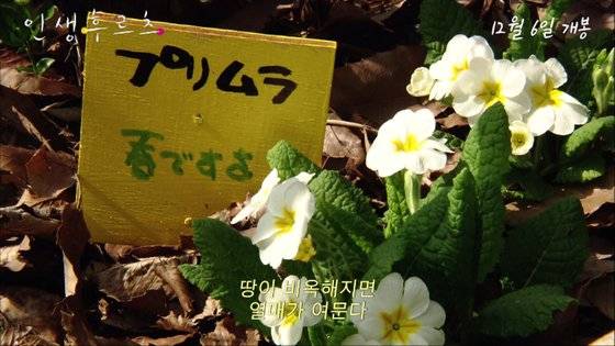 다큐멘터리 '인생 후르츠' 예고편 장면. 꽃이 핀 텃밭에 슈이치씨의 푯말이 꽂혀있다. [사진 엣나인필름]