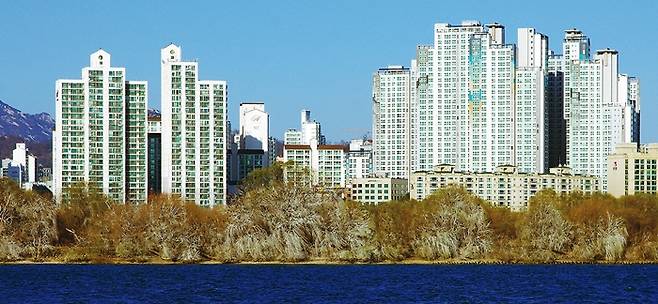 밤섬 나무와 물가에 가마우지가 모여 있다.