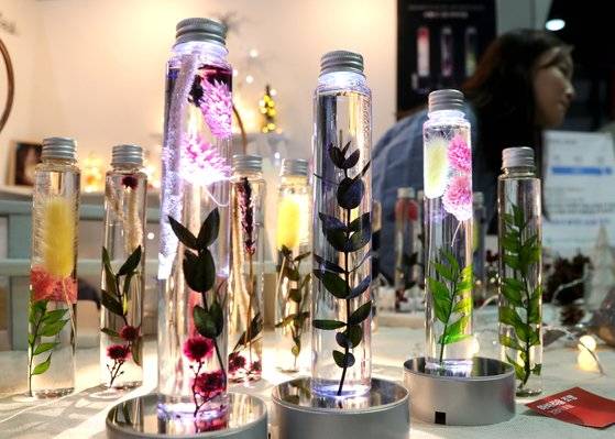 각종 식물을 오일 속에 보관하는 하바리움 장식소품. 최승식 기자