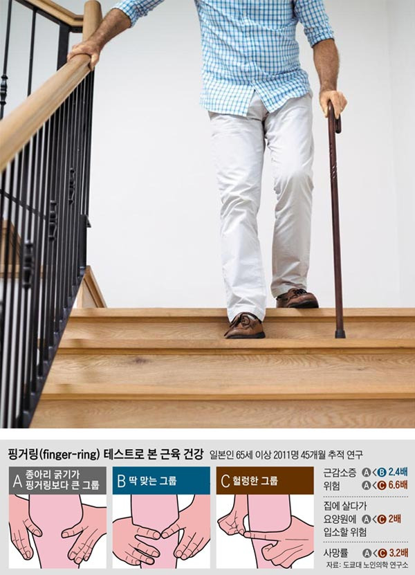 노년 건강