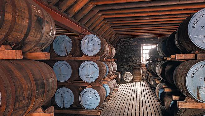 발베니 증류소의 위스키 숙성 창고. 총 47개 창고에서 1960년대에 만들어진 위스키부터 최근 것까지 오크통에 담겨 숙성되고 있다. / 발베니