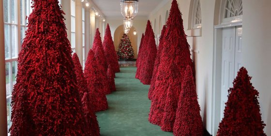 지난달 26일 백악관이 공개한 붉은색 크리스마스 트리. 영부인 집무실로 가는 통로에 배치됐다. [사진 백악관]