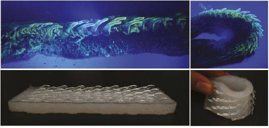 위는 고양이 혀의 단면(왼쪽)과 말렸을 때 유두가 일어선 모습(오른쪽)이고 아래는 이를 모방해 만든 빗이다. 일반 빗과 비교한 결과 고양이 혀를 모방한 빗의 성능이 훨씬 더 뛰어났다. ‘미국립과학원회보’ 제공