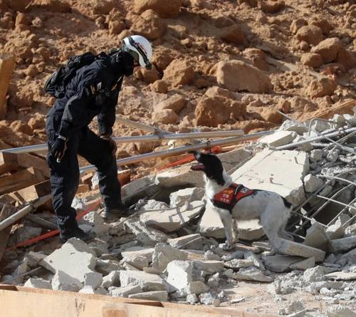 [경기도북부소방재난본부 제공]