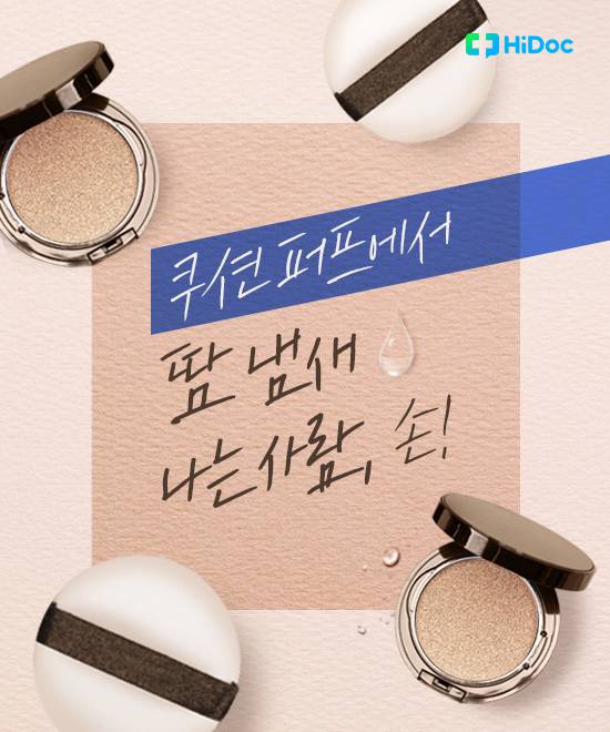 쿠션 퍼프 위생