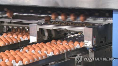 양계장 [연합뉴스TV 제공]