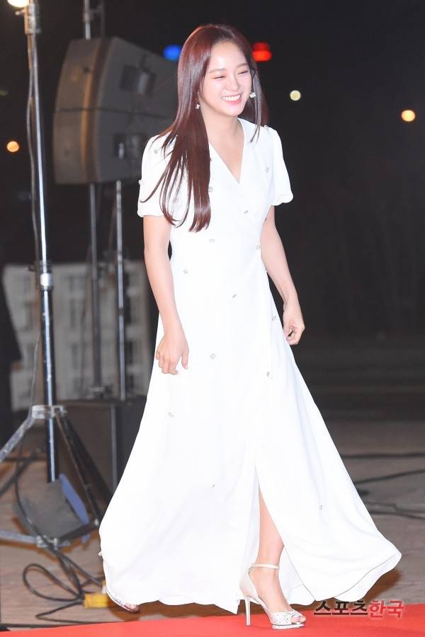 2018 KBS 연기대상 레드카펫. 사진=김봉진 기자 view@hankooki.com