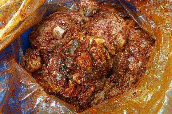 지난해 10월 하순에 담근 명태김치. 살을 저며 넣지 않고 좀 작은 동태를 토막 쳐 넣었다.