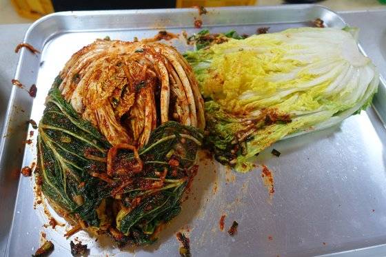 김칫소를 다 넣고 겉잎으로 감싸 마무리한 김치 한 쪽. 포기가 크면 이걸 다시 반으로 갈라 갈무리한다.