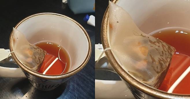 흔히 마시는 홍차 티백. 자세히 보면 천이 아닌 플라스틱으로 만든 합성섬유다. 이가영 기자