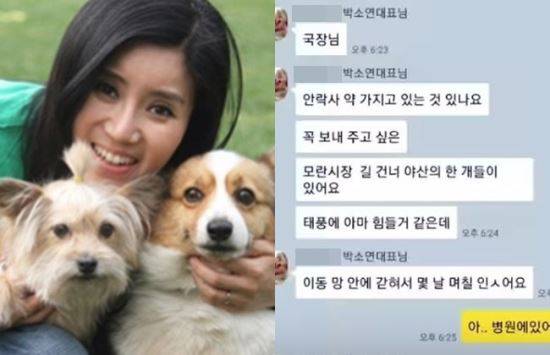 케어 홈페이지/진실탐사그룹 셜록 유튜브 영상 캡처