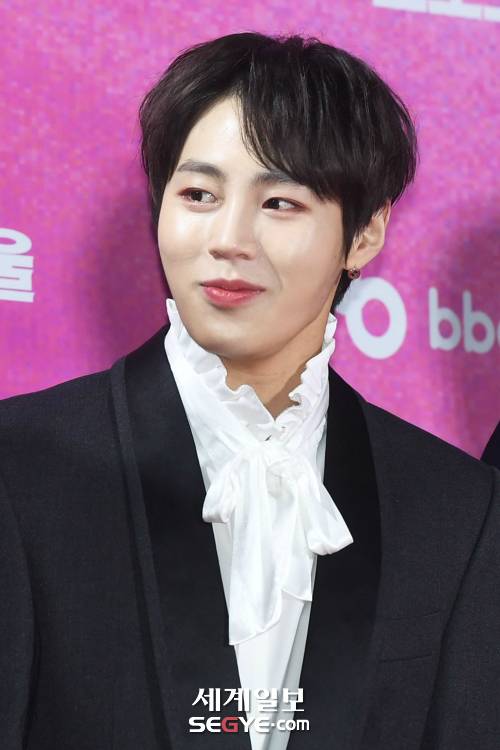 그룹 워너원 하성운이 지난 15일 서울 구로구 고척동 고척돔에서 열린 ‘제28회 하이원 서울가요대상’에 참석해 포즈를 취하고 있다.