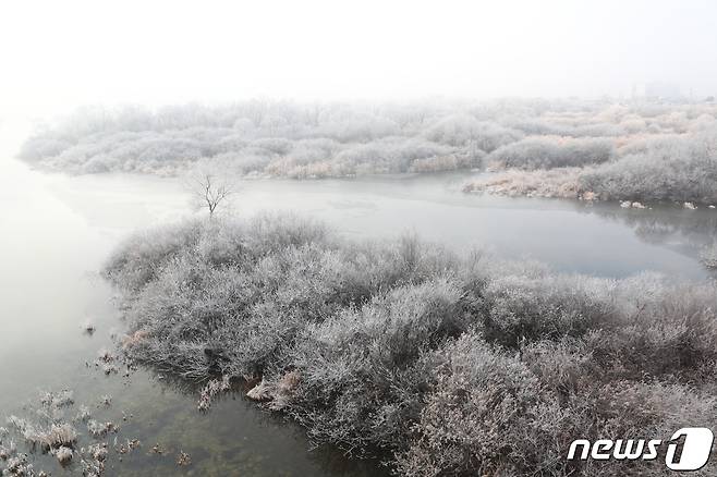 22일 강원 춘천시 동면 소양3교 인근 소양강에 상고대가 피었다. 2019.1.22/뉴스1 © News1 이찬우 기자