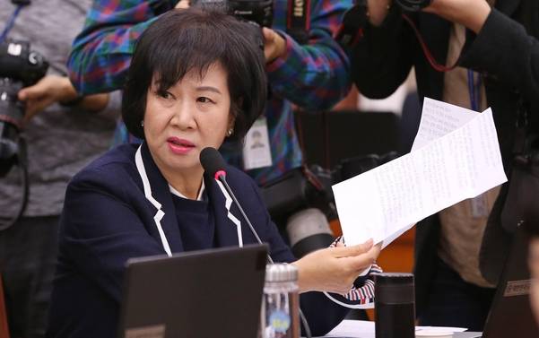 지난해 8월 국정감사에서 질의하고 있는 손혜원 의원. / 남강호 기자