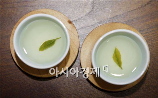 카테킨 풍부한 녹차 / 아시아경제 DB