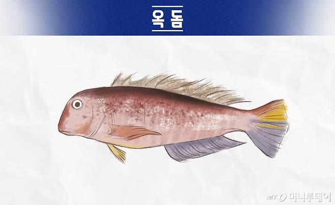옥돔/이미지=머니투데이