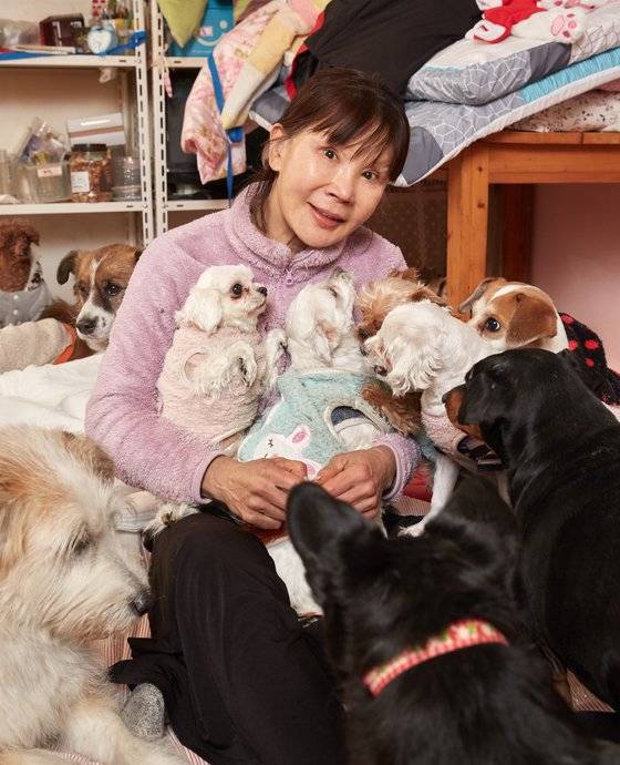 이 씨 집 반려견들은 사람 품에 안기는 걸 좋아한다. 스스로 무릎 위로 올라와 자리를 잡는 개들도 있다.