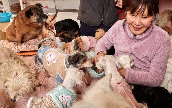 개들은 이 씨가 들어오자 헐레벌떡 그의 품을 파고 들었다.