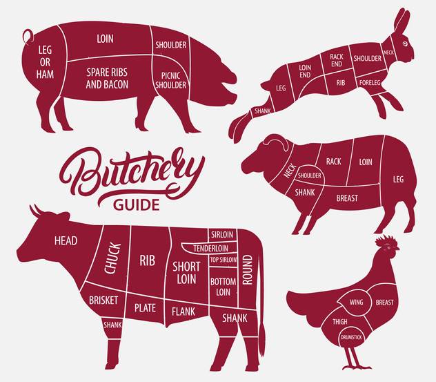 전세계적으로는 돼지 > 닭 > 소 > 양 순으로 고기 소비가 많습니다. /출처=게티이미지뱅크