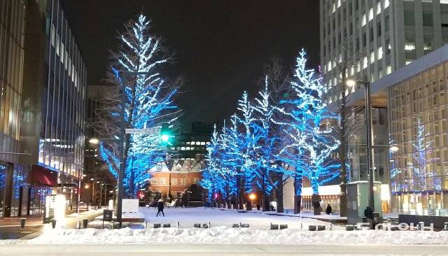 삿포로 화이트일루미네이션-겨울철 삿포로 시내 가로수에 설치된  인공조명.