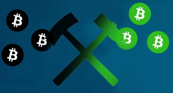 [그래픽=아이뉴스24]