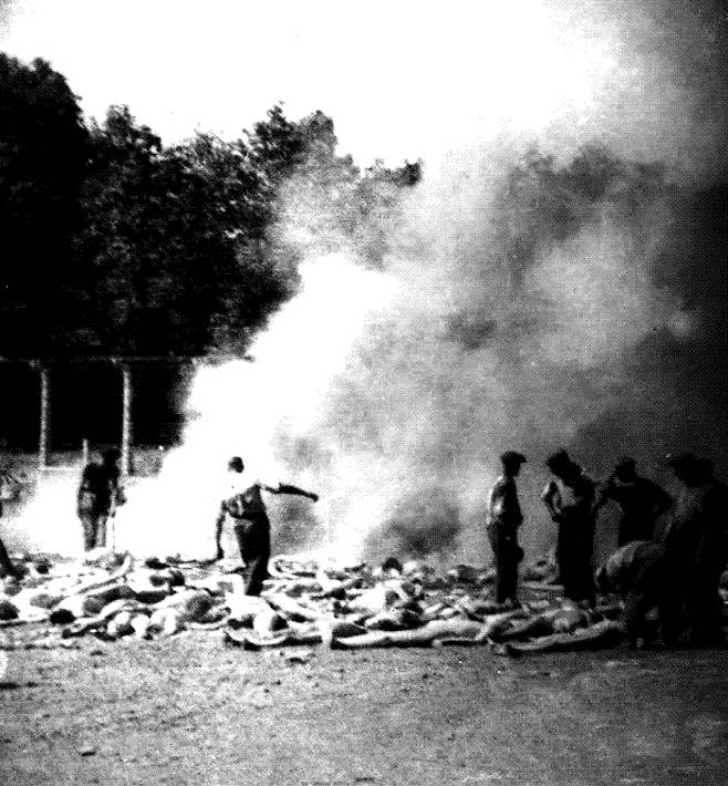 사진6 : 사진2 크롭 및 확대