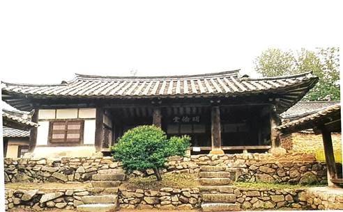 예안향교에 있었던 안동무궁화 한그루.[사진 안동무궁화보존회]