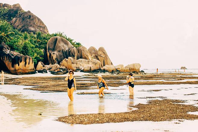 태초의 자연을 품은 라디그, 그 앞을 서성이는 소녀 삼총사