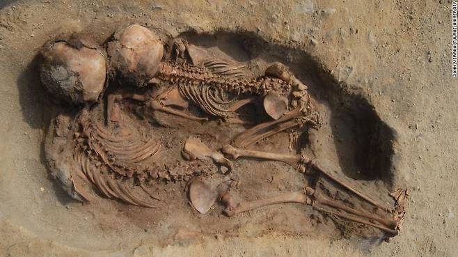 페루에서 발견된 유골 일부