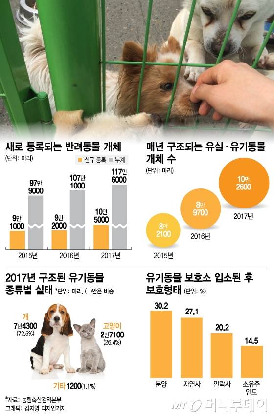 /사진=김지영 디자인기자