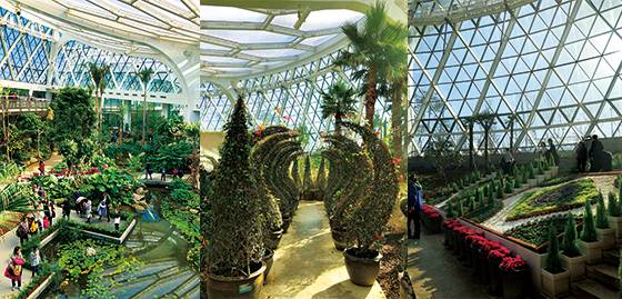 열대와 지중해 식물들로 꾸민 온실