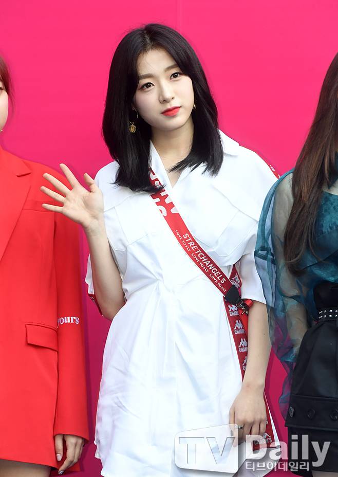 티브이데일리 포토
