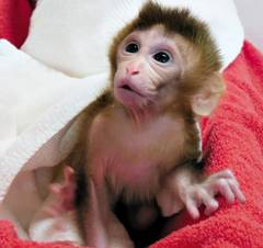 /미 오리건보건과학대