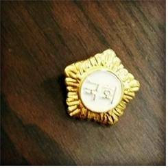 ▲ 2004년 한글문화연대와 한글사랑 대학생 동아리 학생들이 선물한 국회 한글 보람(배지)