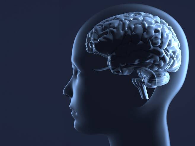 자폐, 파킨슨병, 조현병 같은 뇌질환들이 뇌에서 멀리 떨어진 대장 안의 미생물 생태계와 연관성을 지니고 있다는 연구결과들이 최근 10년 새 잇따르고 있다. 장내 미생물 생태계를 조절하면 뇌질환 치료에 도움이 될 수 있다는 기대도 생겨나고 있다. 게티이미지뱅크
