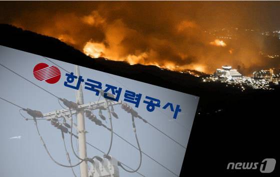 © News1 김일환 디자이너